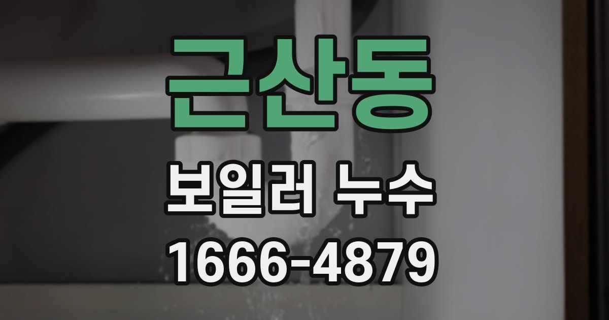 근산동 보일러 누수