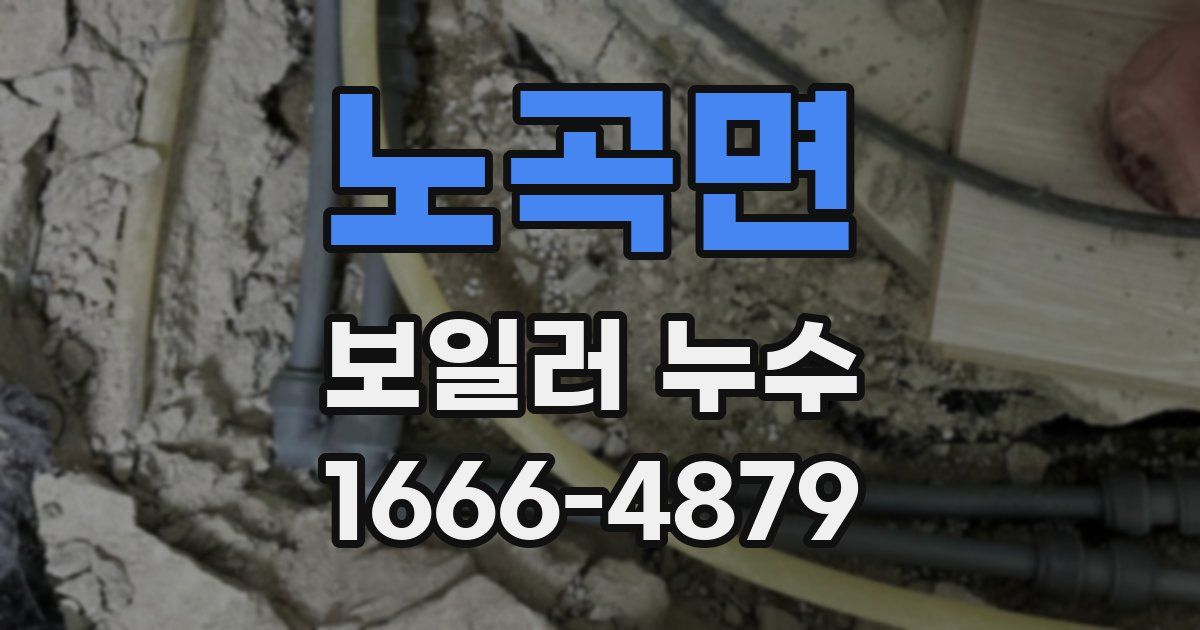 노곡면 보일러 누수