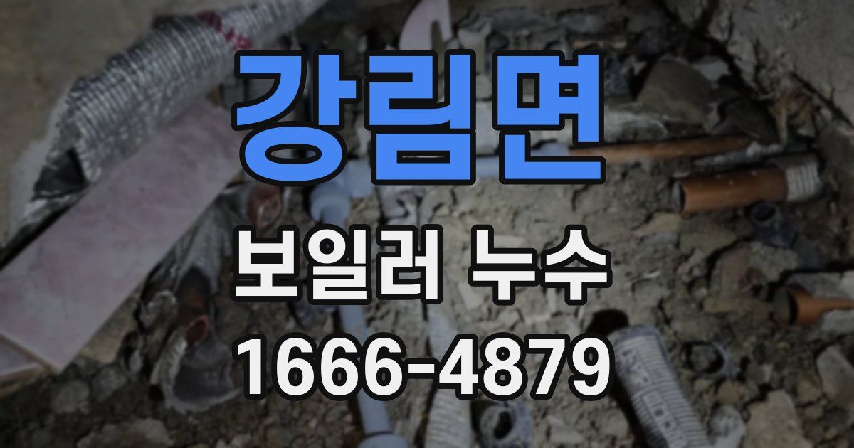 강림면 보일러 누수