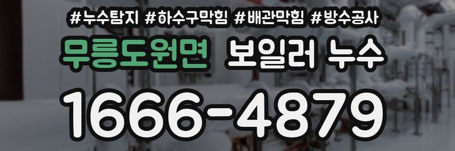 무릉도원면 보일러 누수
