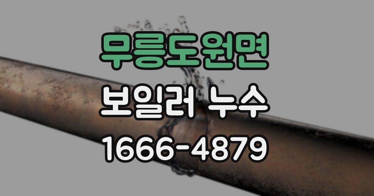 무릉도원면 보일러 누수