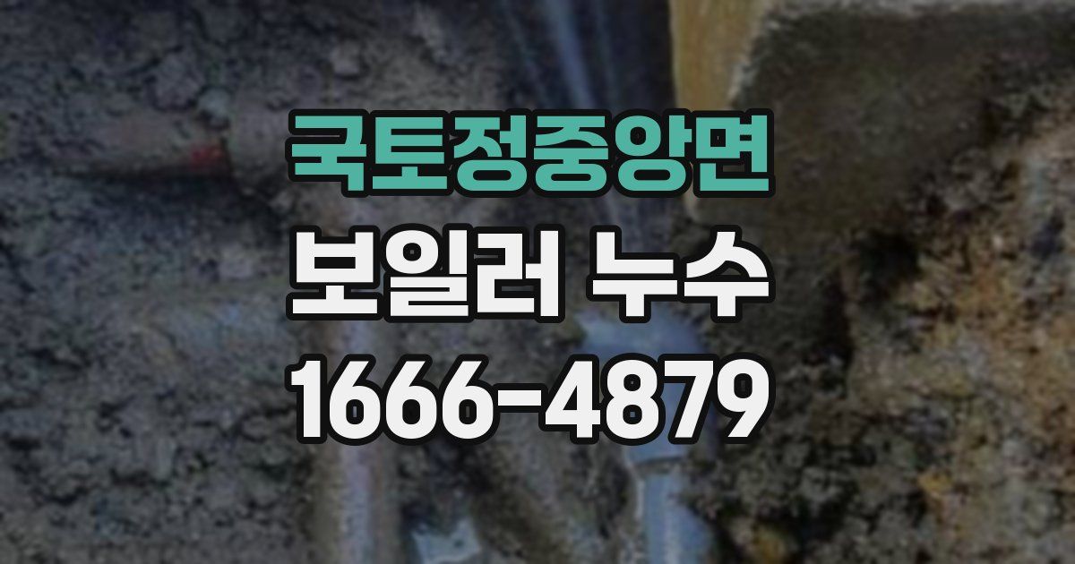 국토정중앙면 보일러 누수