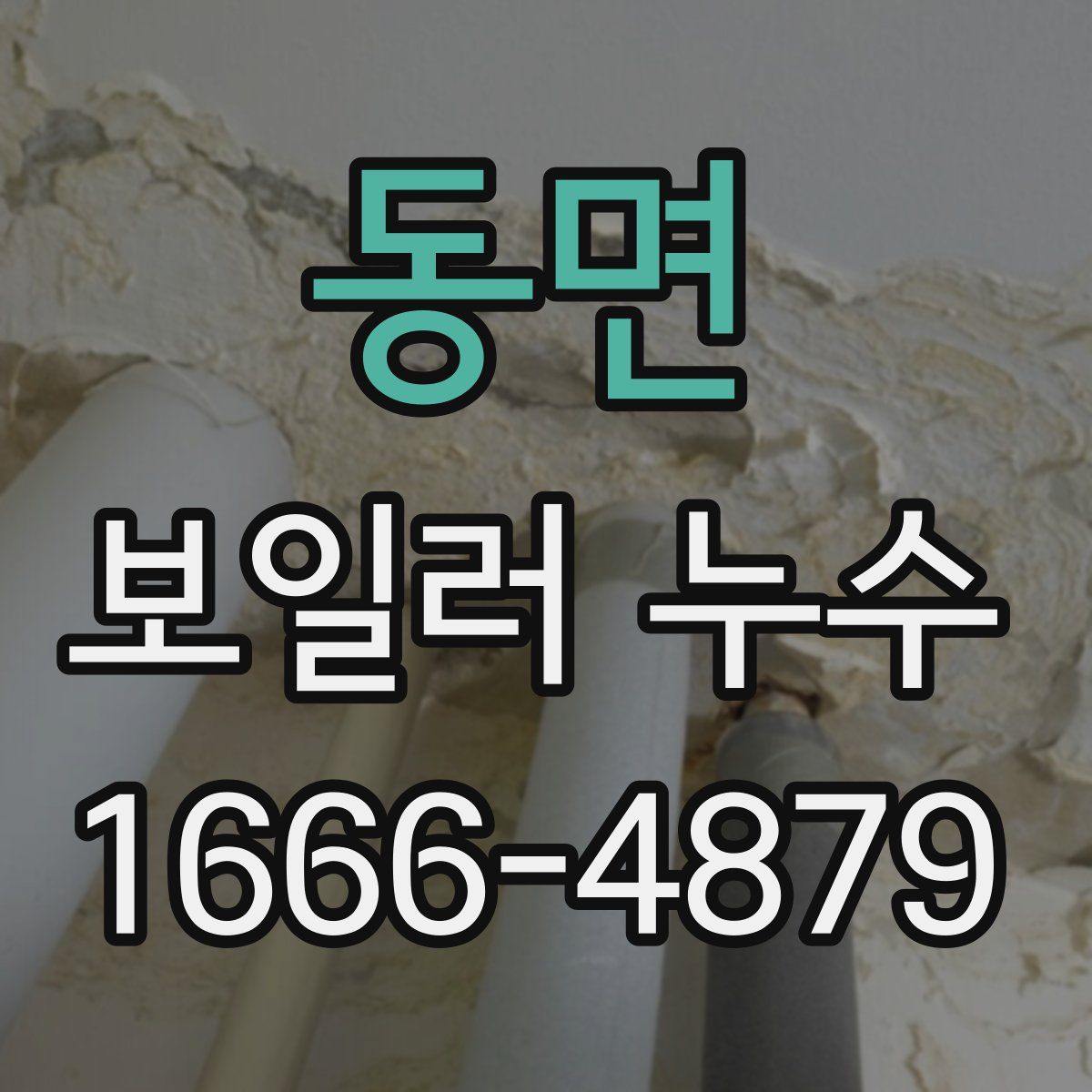 동면 보일러 누수