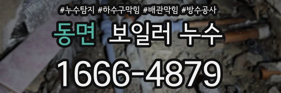 동면 보일러 누수