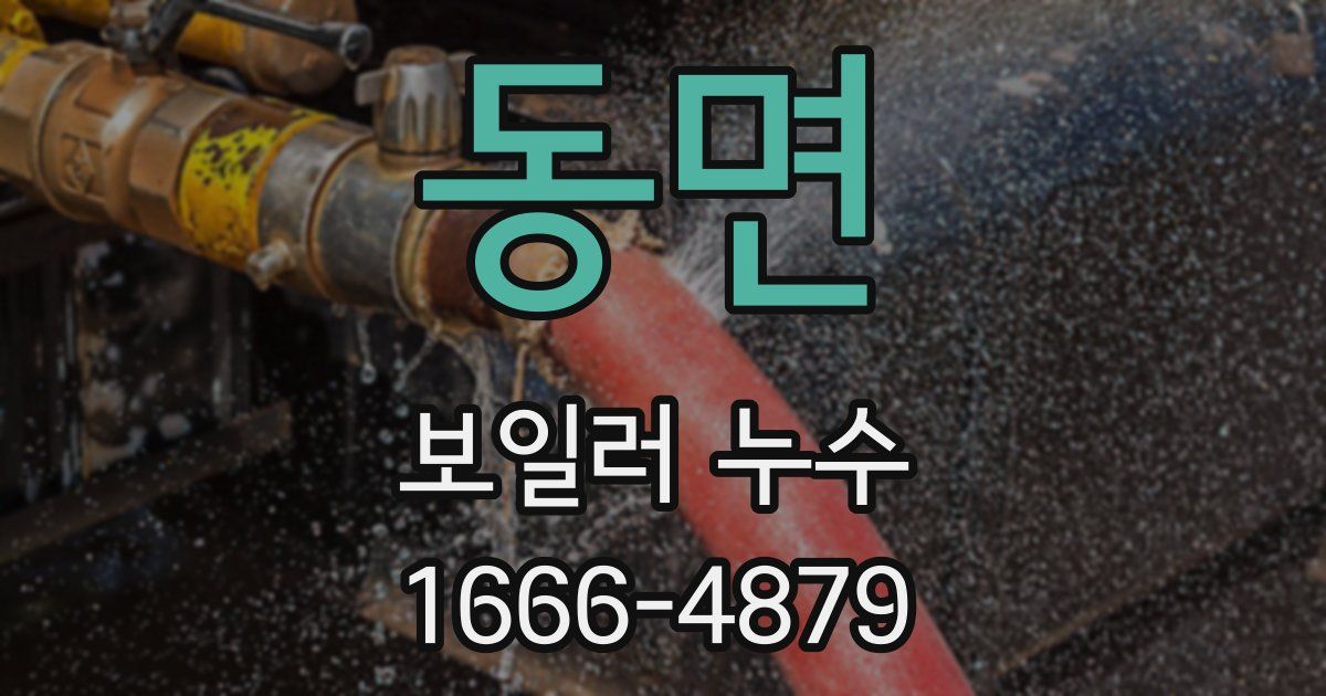 동면 보일러 누수