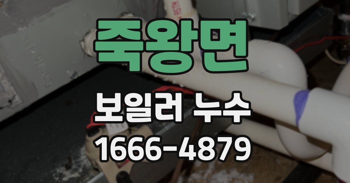 죽왕면 보일러 누수