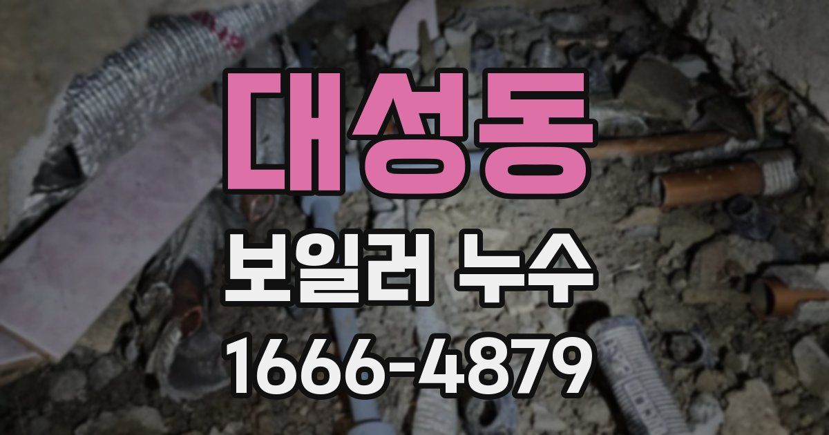 대성동 보일러 누수