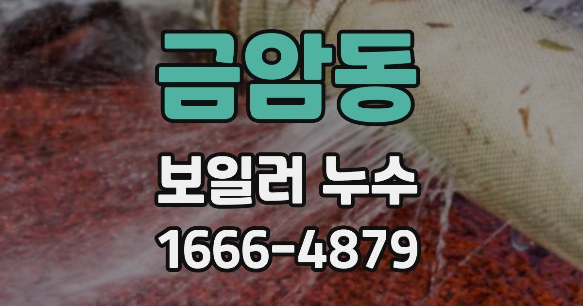금암동 보일러 누수