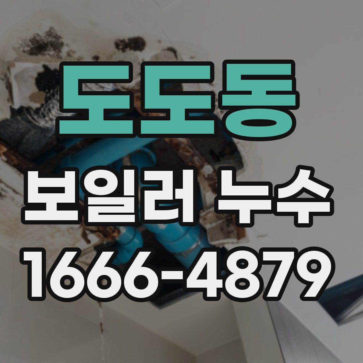 도도동 보일러 누수