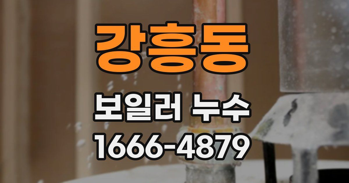강흥동 보일러 누수