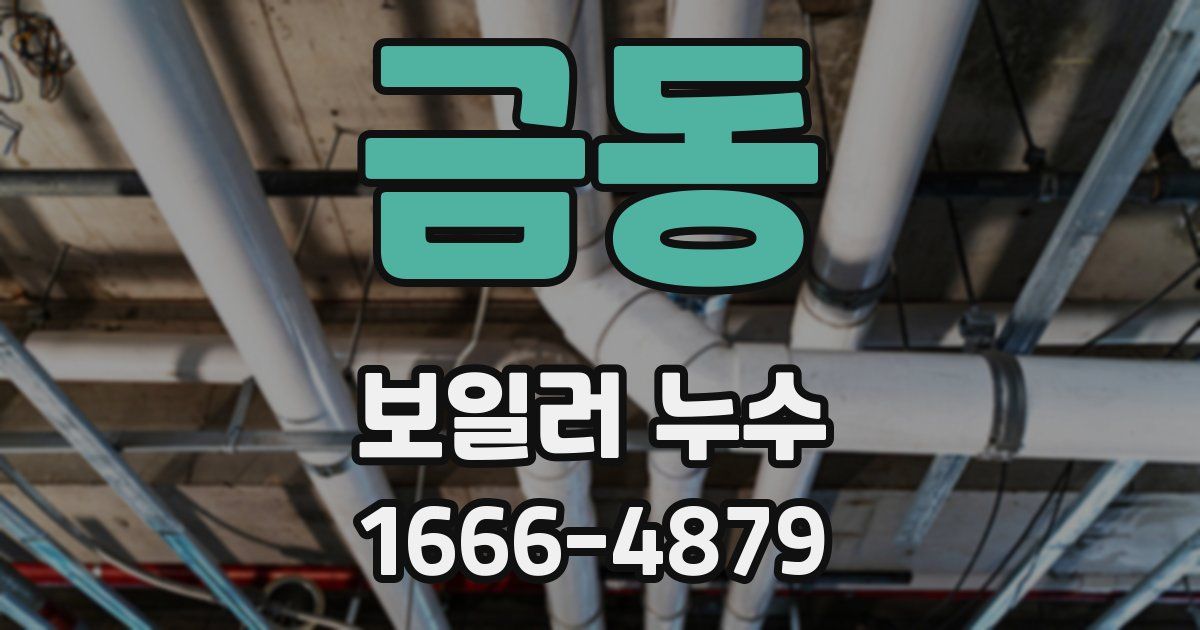 금동 보일러 누수