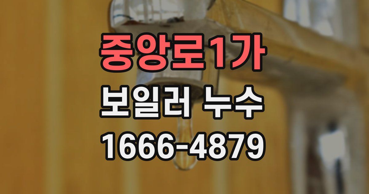 중앙로1가 보일러 누수