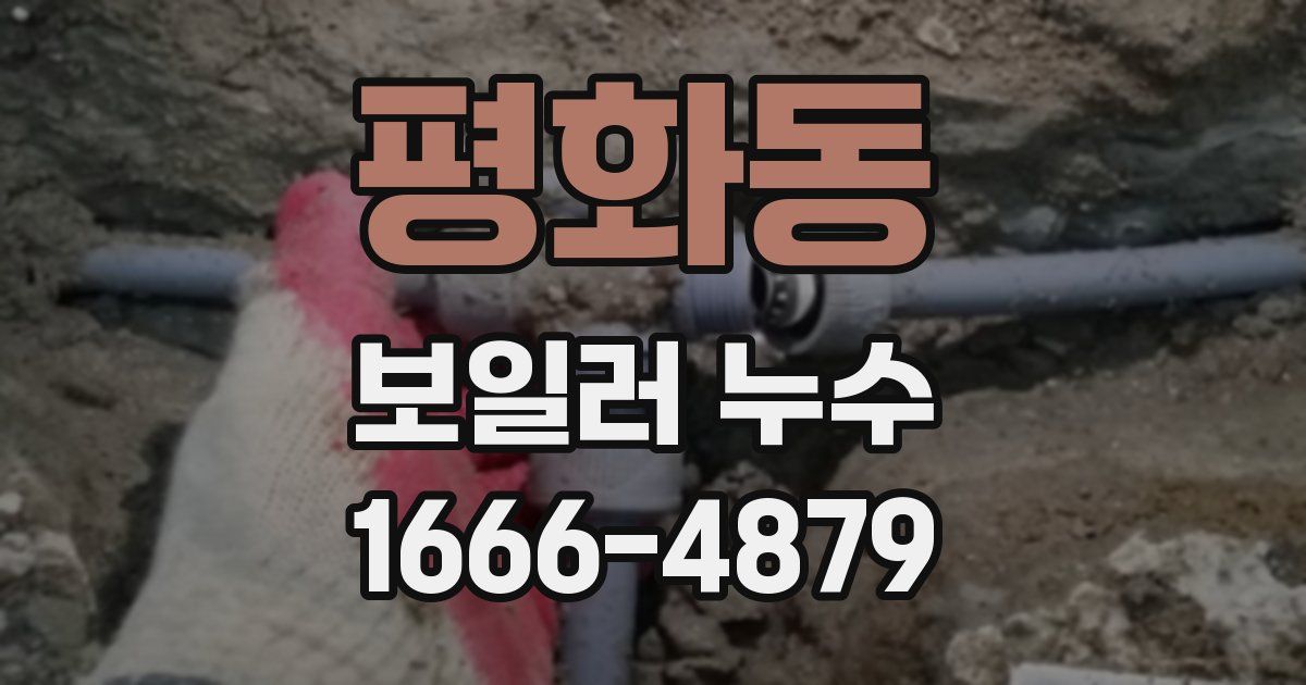 평화동 보일러 누수