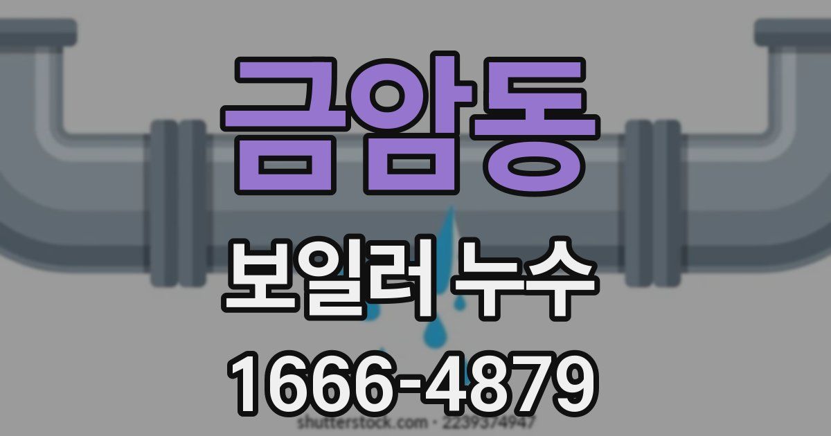 금암동 보일러 누수