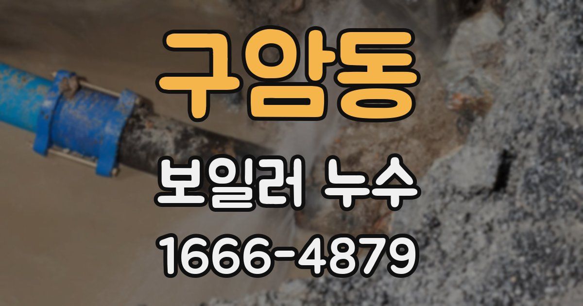 구암동 보일러 누수
