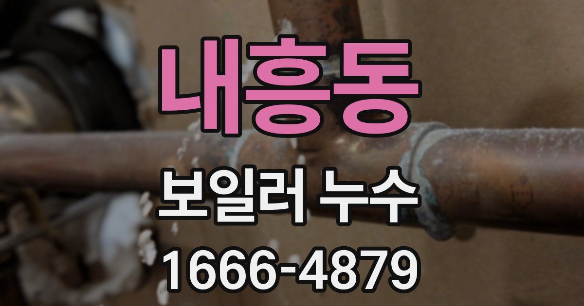 내흥동 보일러 누수