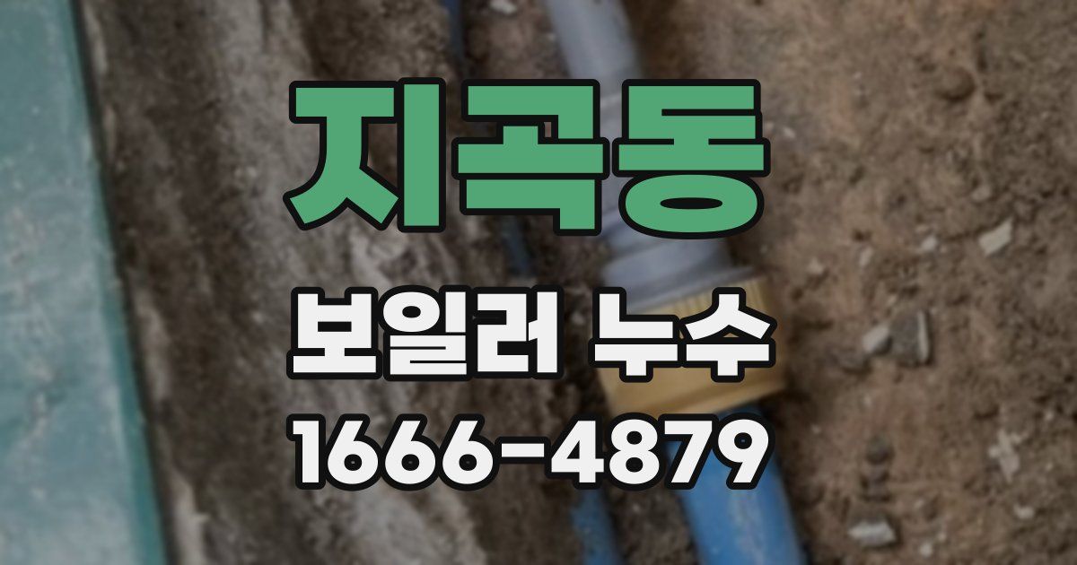지곡동 보일러 누수