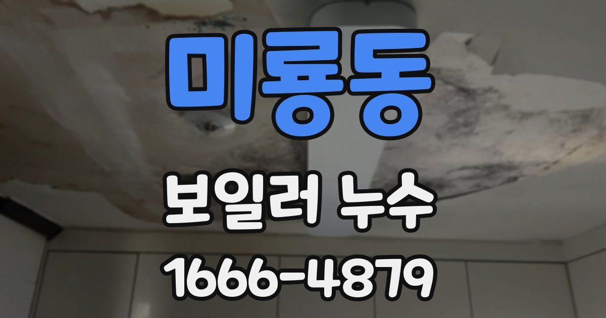 미룡동 보일러 누수