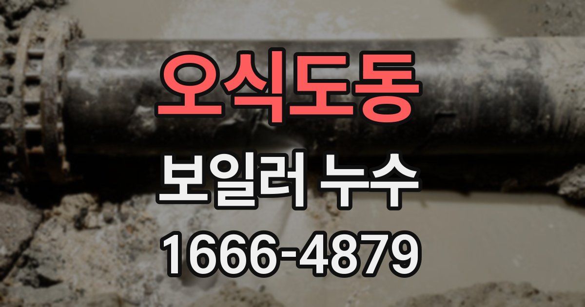 오식도동 보일러 누수