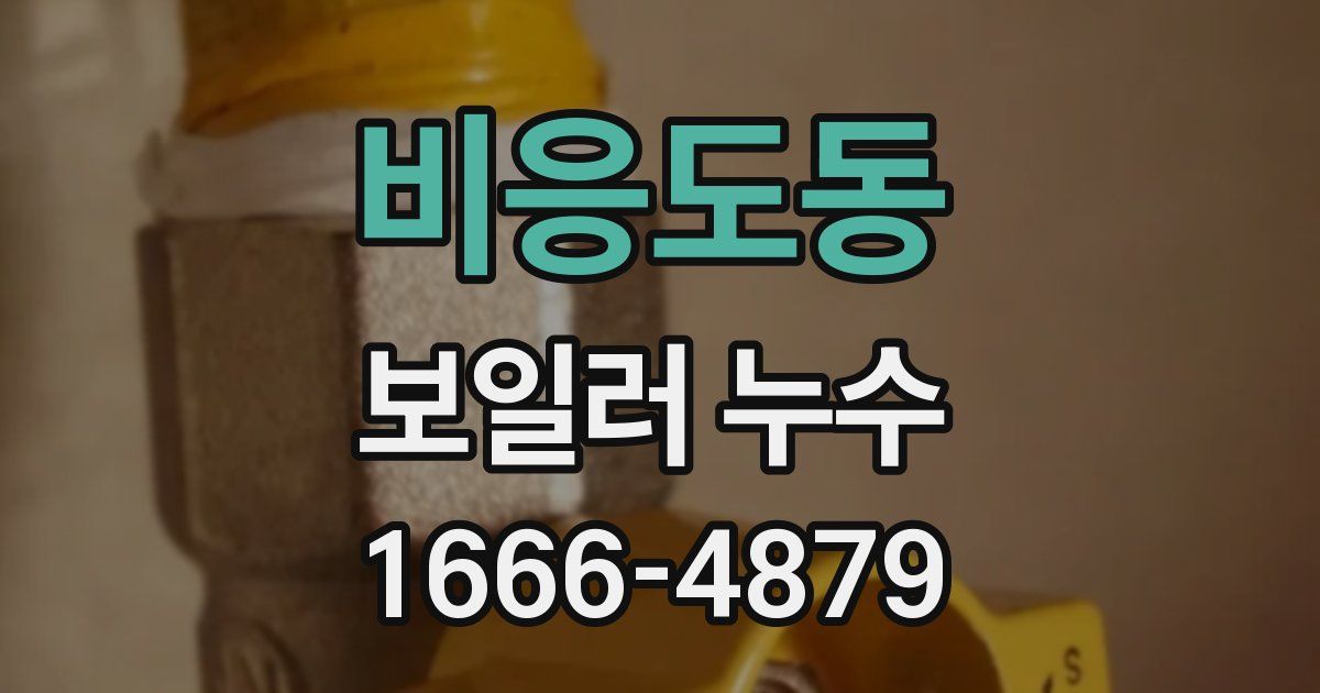 비응도동 보일러 누수