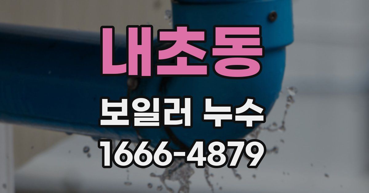 내초동 보일러 누수