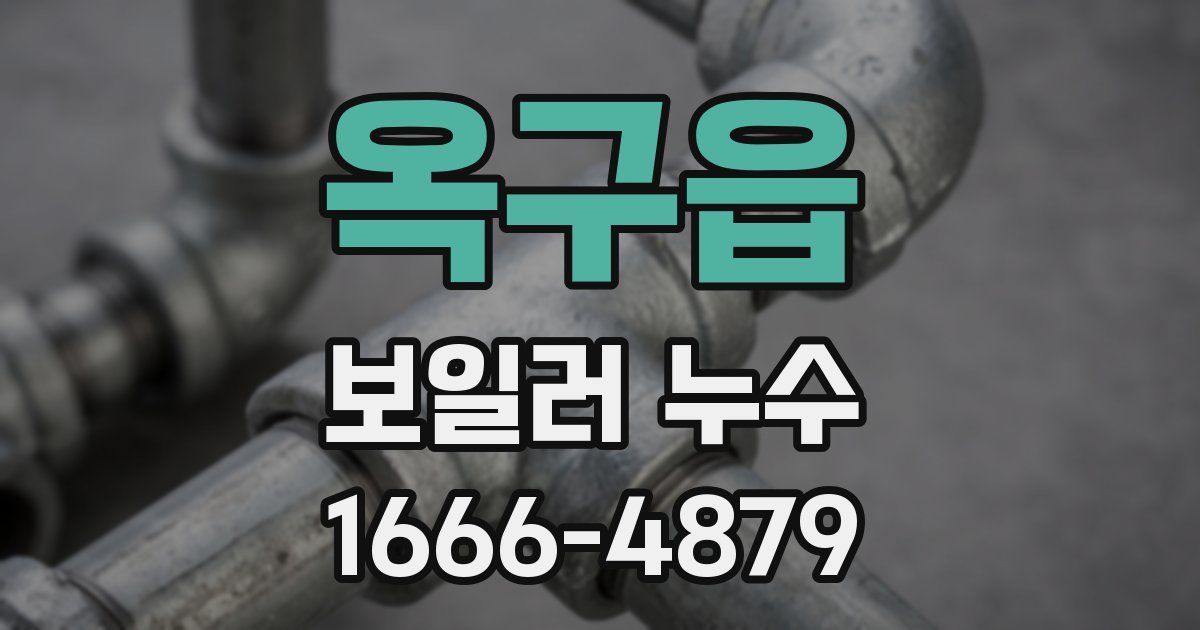 옥구읍 보일러 누수