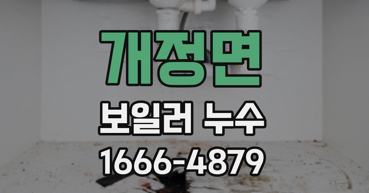 개정면 보일러 누수