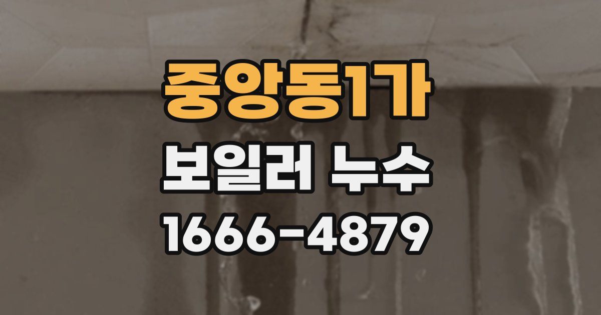 중앙동1가 보일러 누수