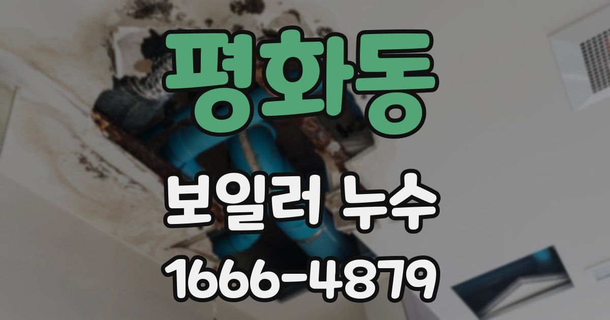 평화동 보일러 누수