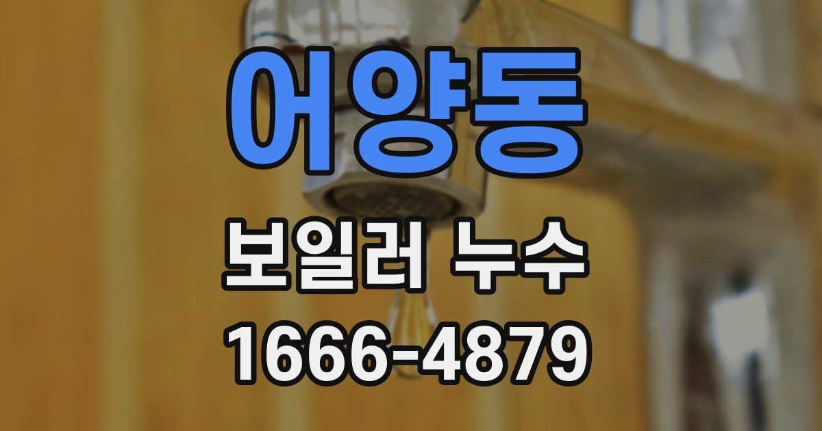 어양동 보일러 누수
