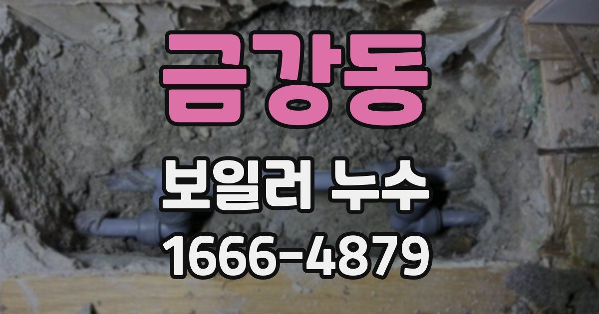 금강동 보일러 누수