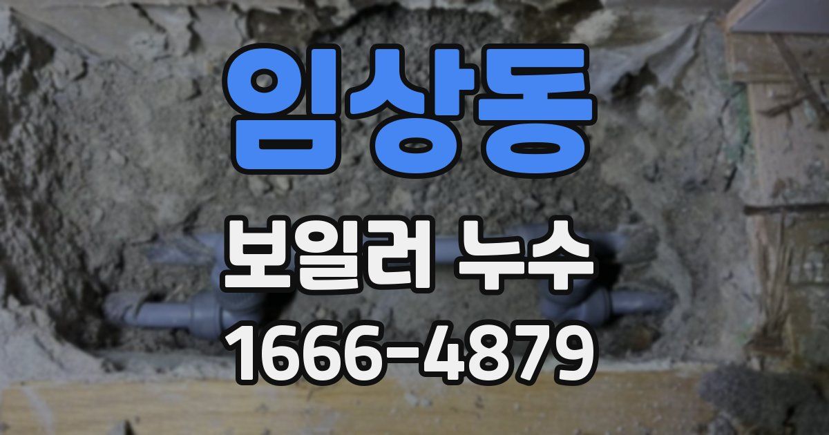 임상동 보일러 누수