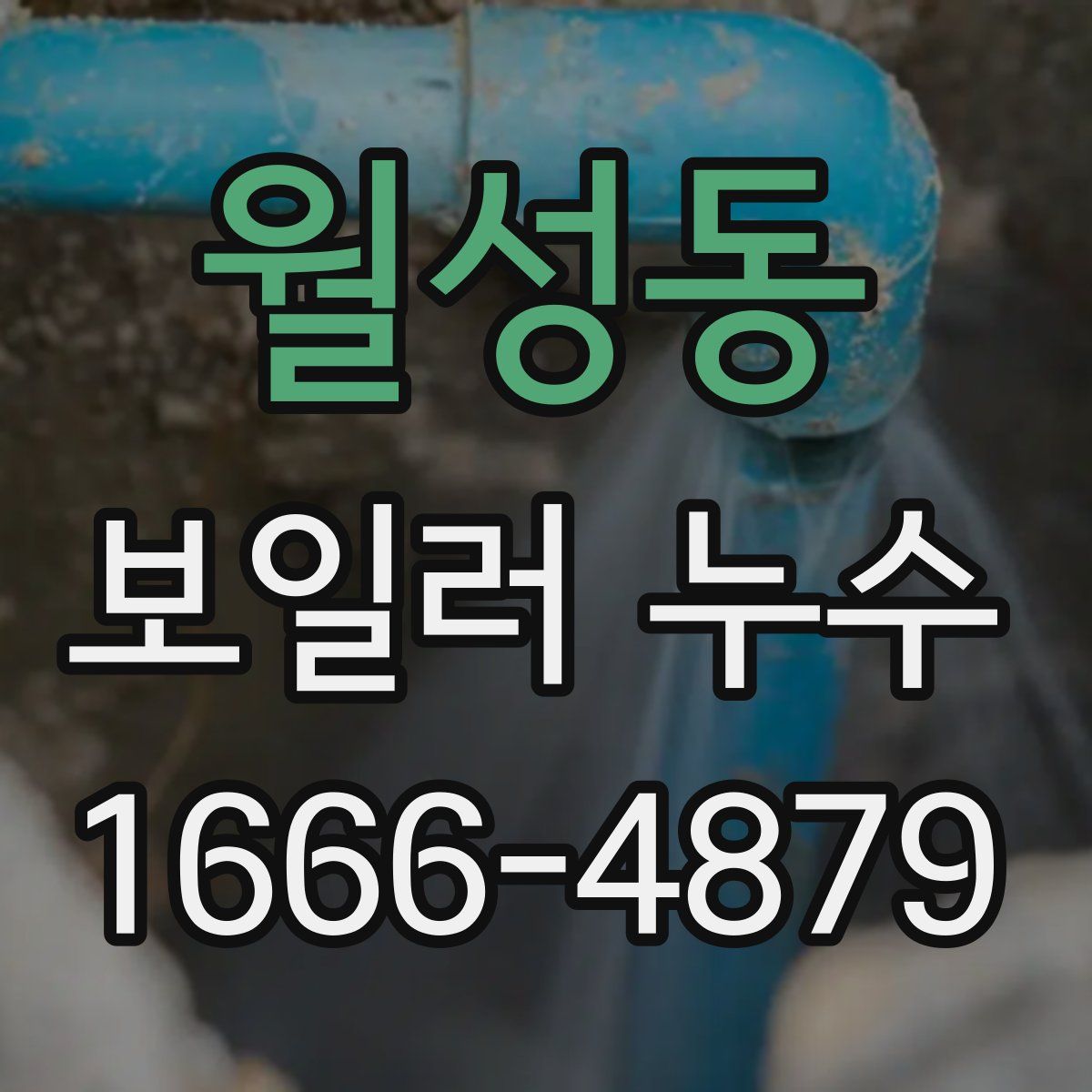 월성동 보일러 누수