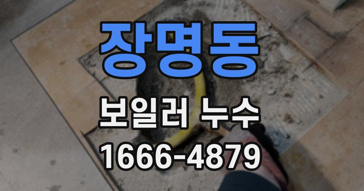 장명동 보일러 누수