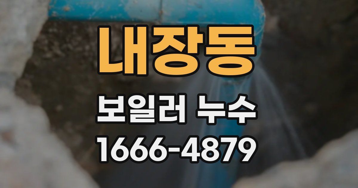 내장동 보일러 누수