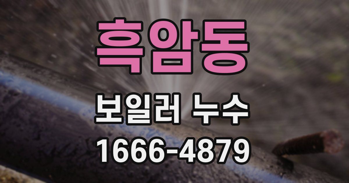 흑암동 보일러 누수