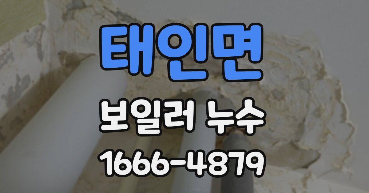 태인면 보일러 누수