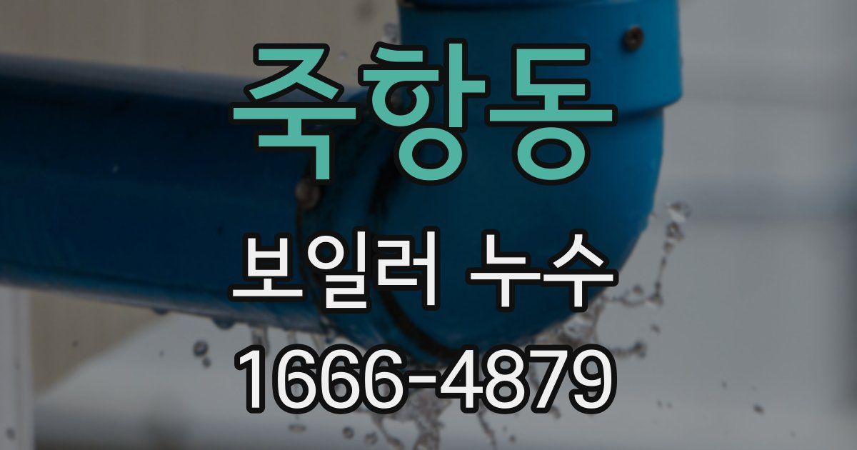죽항동 보일러 누수