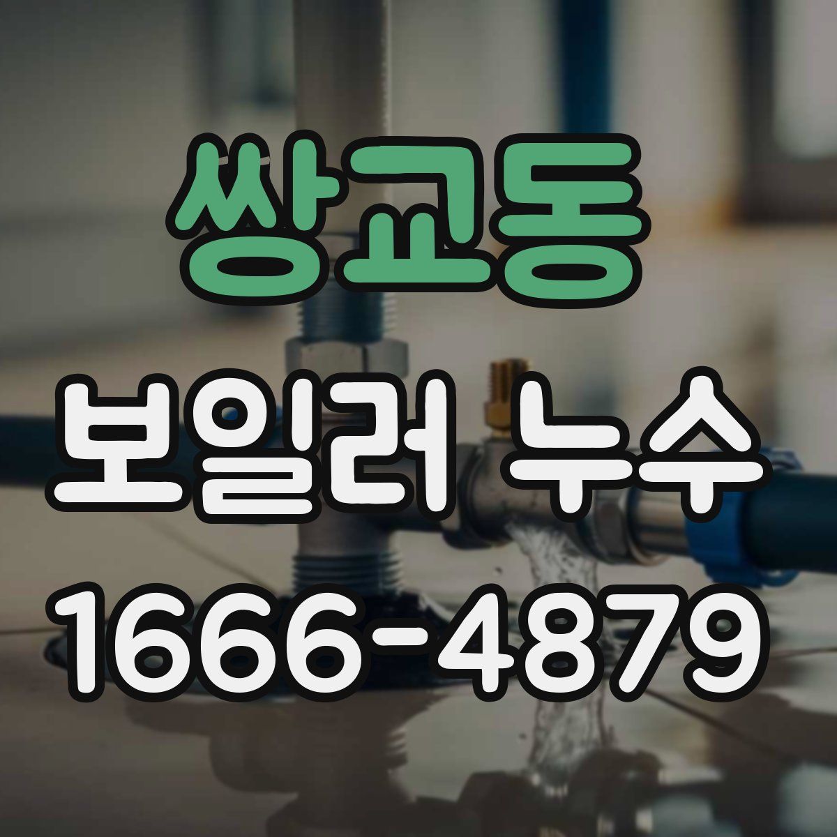쌍교동 보일러 누수