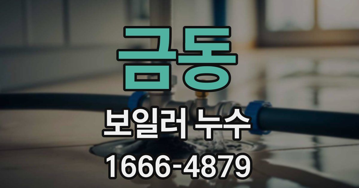 금동 보일러 누수