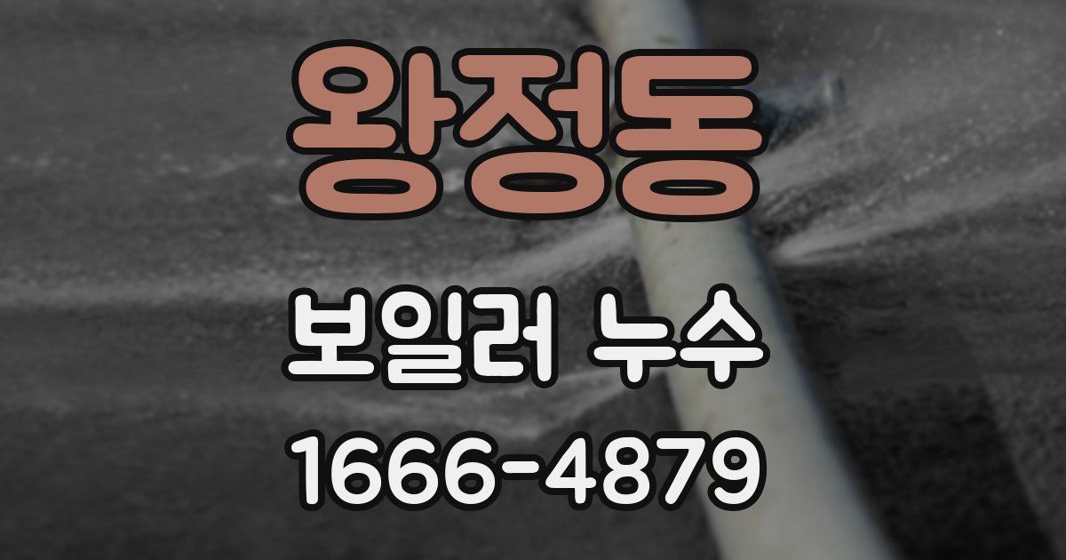 왕정동 보일러 누수
