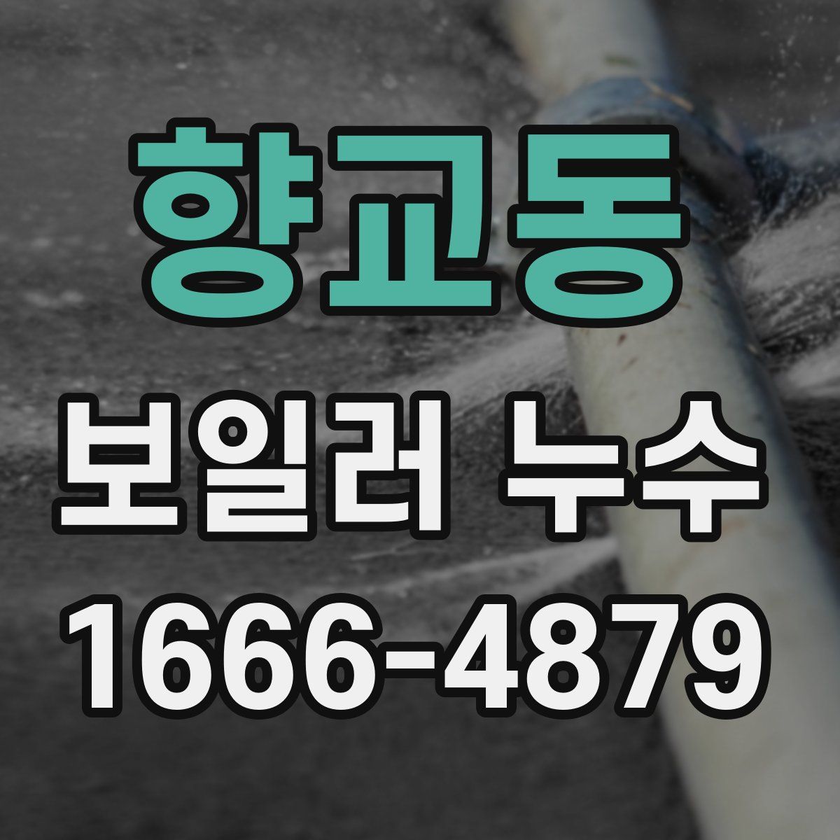 향교동 보일러 누수