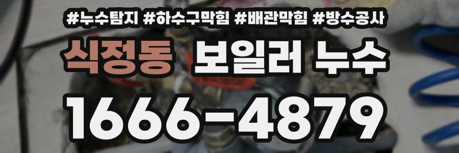 식정동 보일러 누수