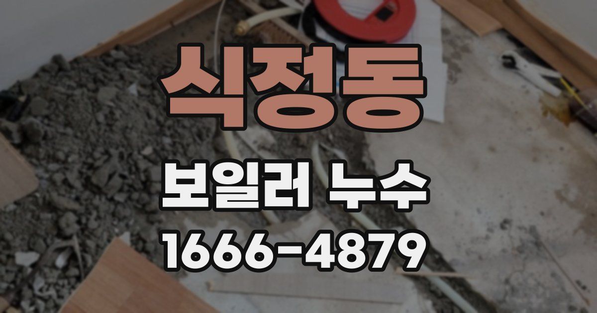 식정동 보일러 누수