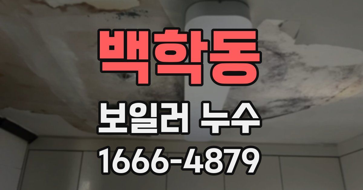 백학동 보일러 누수