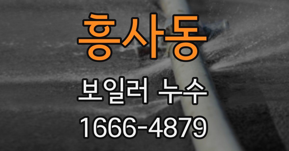 흥사동 보일러 누수