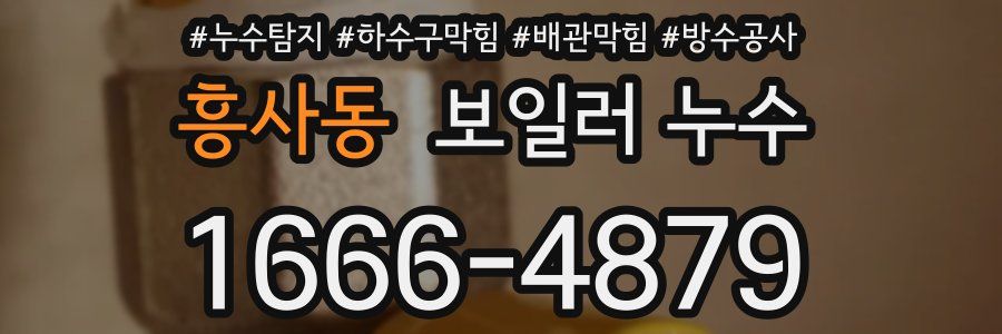흥사동 보일러 누수