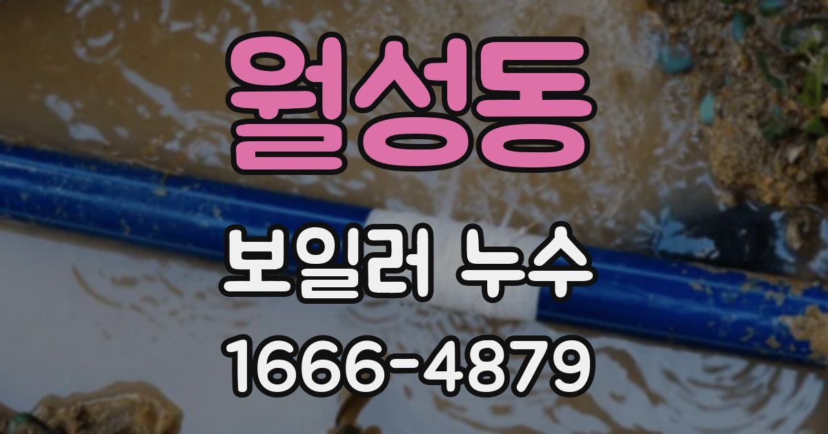 월성동 보일러 누수