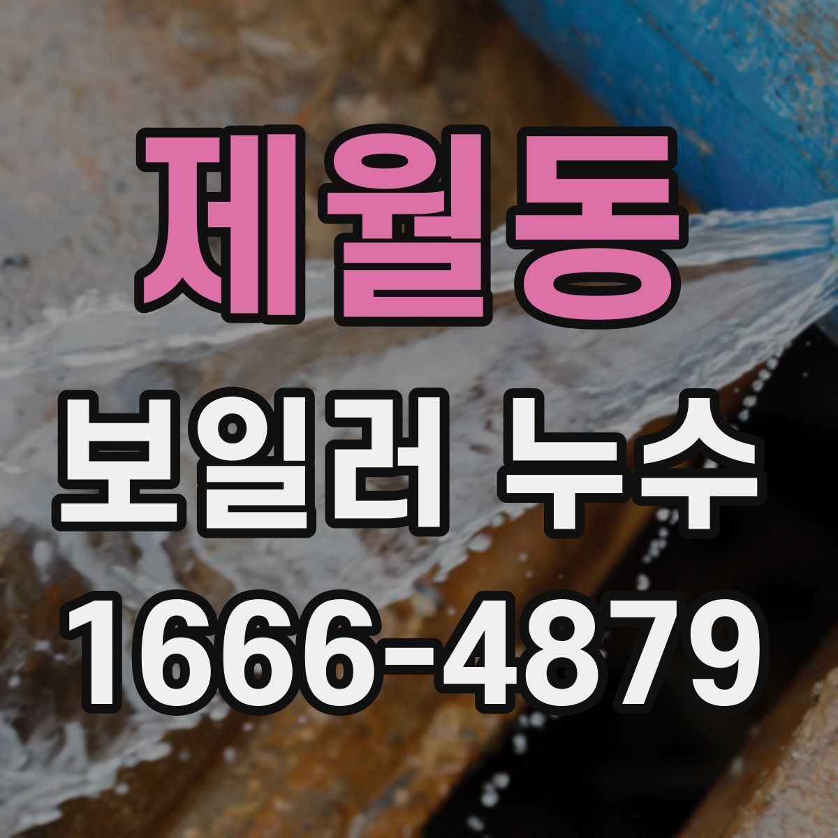 제월동 보일러 누수