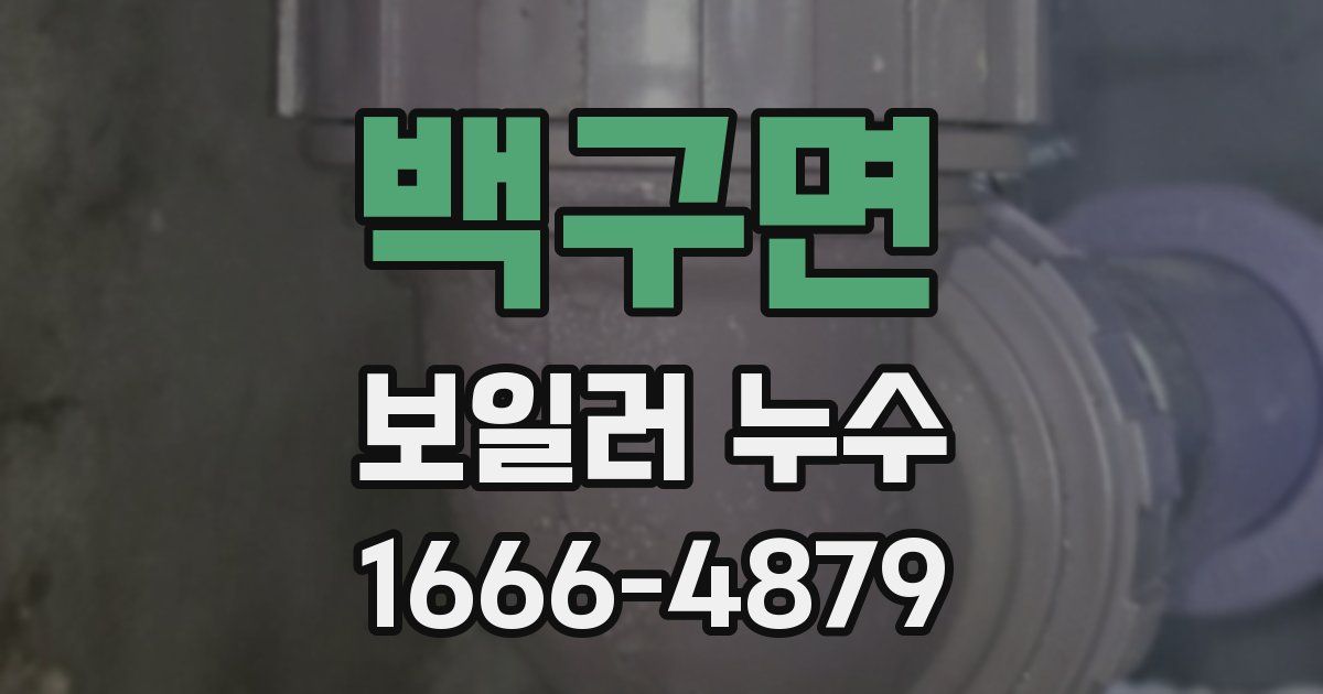 백구면 보일러 누수